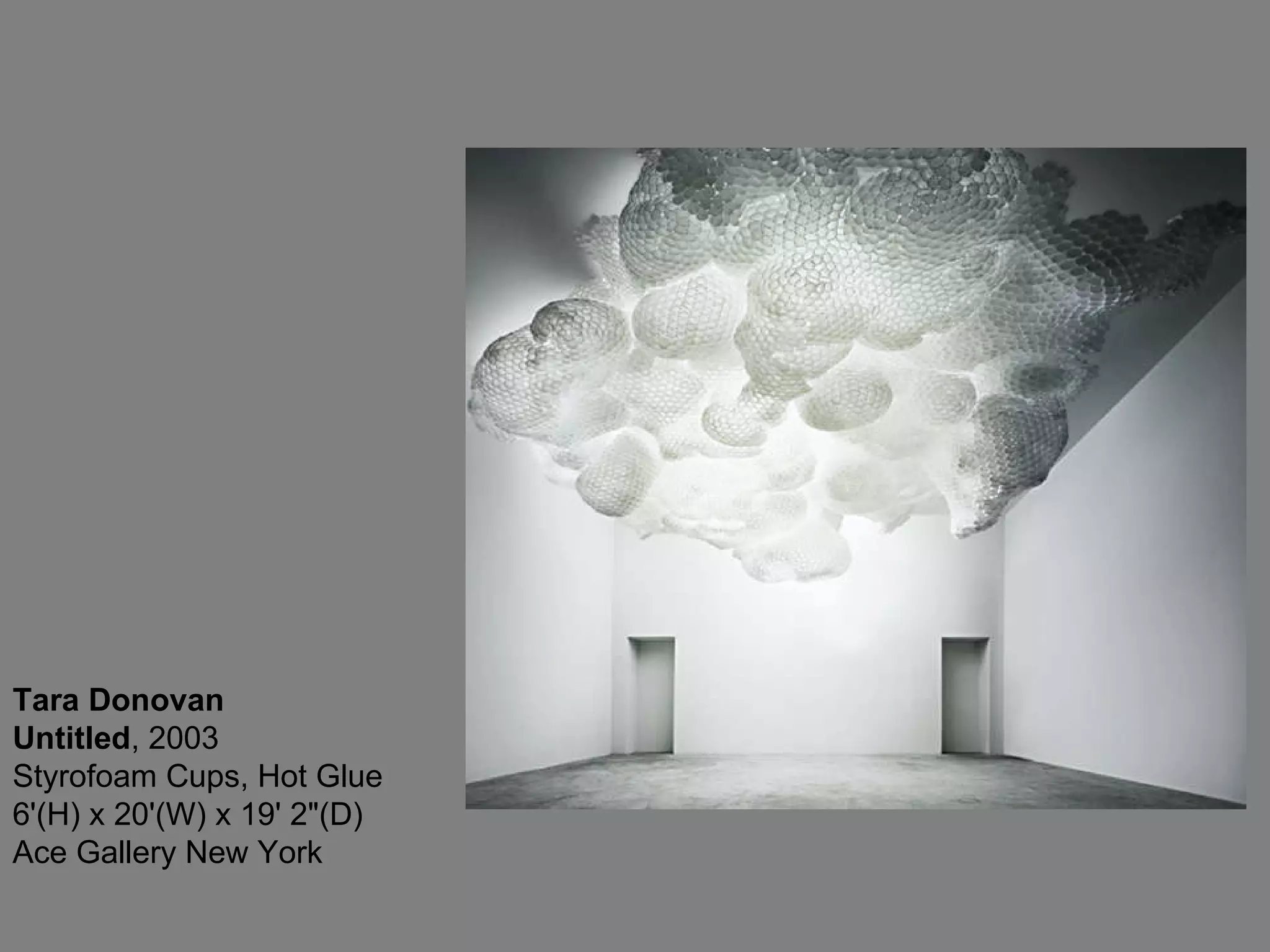 Tara Donovan Untitled , 2003  Styrofoam Cups, Hot Glue 6'(H) x 20'(W) x 19' 2&quot;(D) Ace Gallery New York 