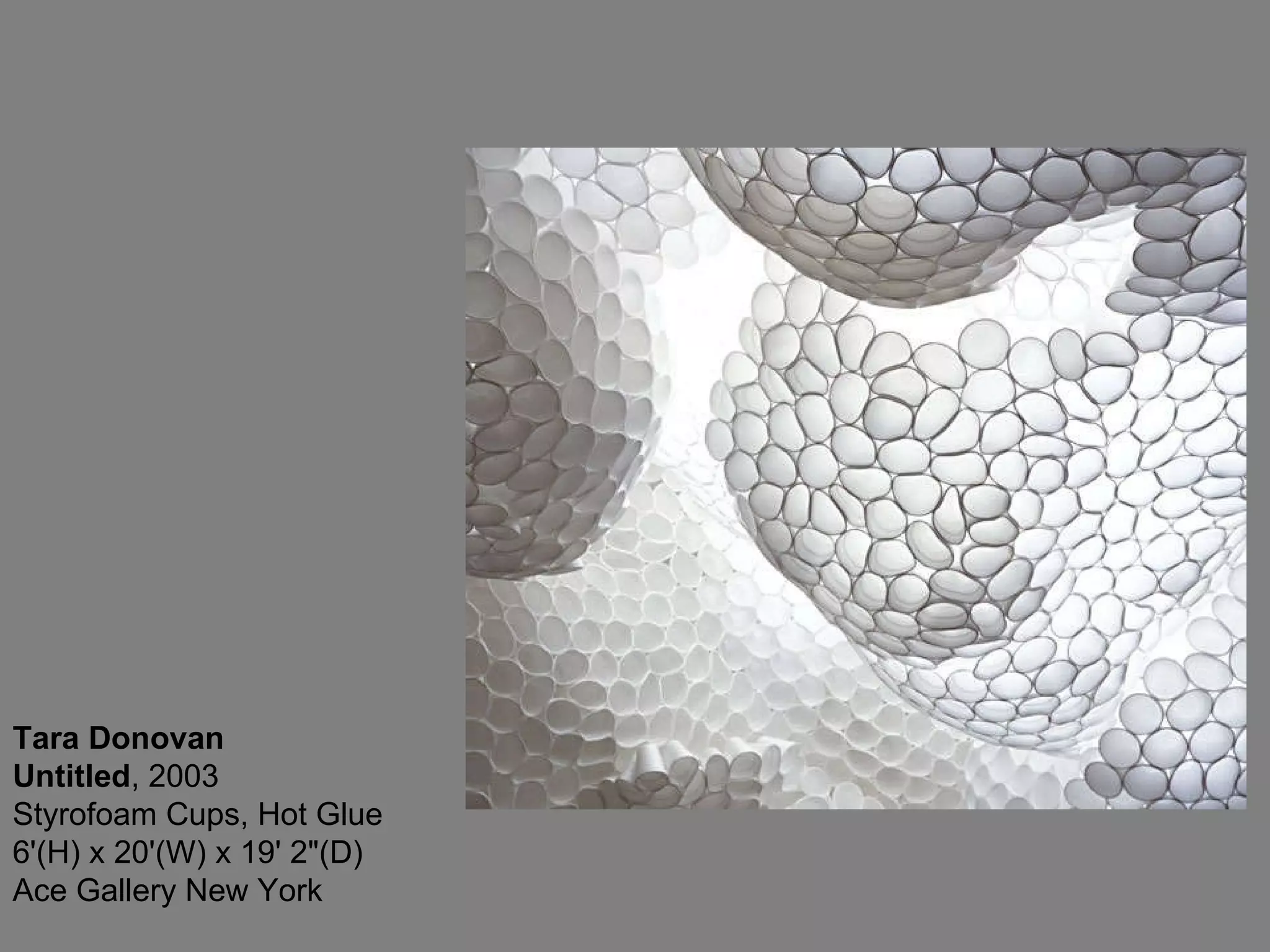 Tara Donovan Untitled , 2003  Styrofoam Cups, Hot Glue 6'(H) x 20'(W) x 19' 2&quot;(D) Ace Gallery New York 