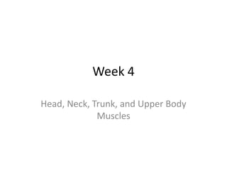 Week 4

Head, Neck, Trunk, and Upper Body
             Muscles
 