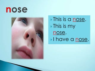 This is a nose. This is my nose. I have a nose. nose 