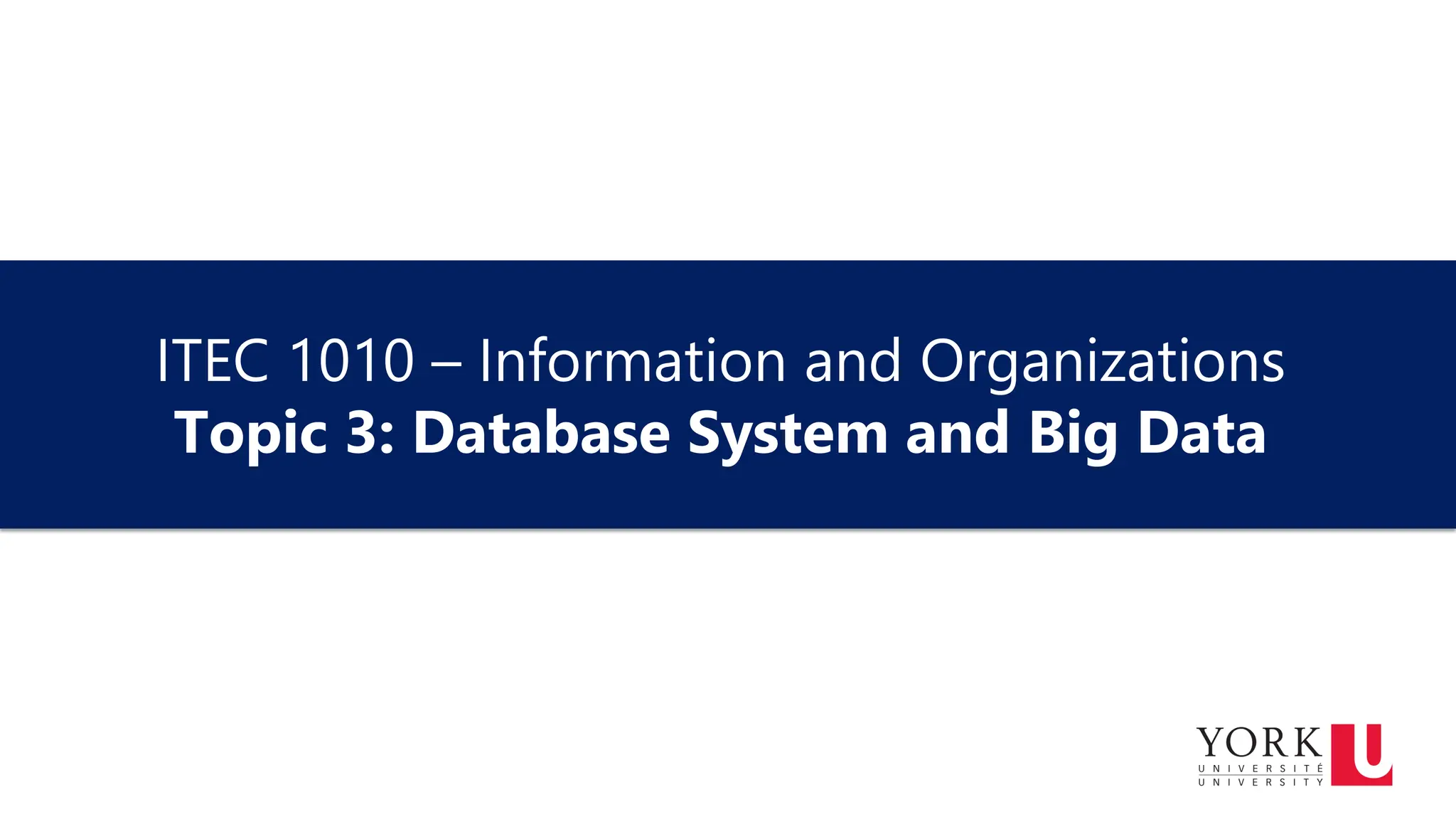 ITEC 1010 - Information and Organizations Database System and Big data ...