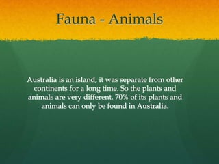 Fauna - Animals 
Australia is an island, it was separate from other 
continents for a long time. So the plants and 
animals are very different. 70% of its plants and 
animals can only be found in Australia. 
 