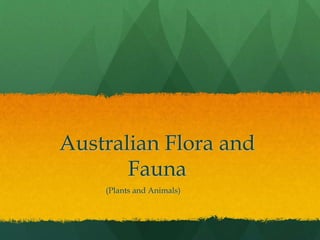 Australian Flora and 
Fauna 
(Plants and Animals) 
 