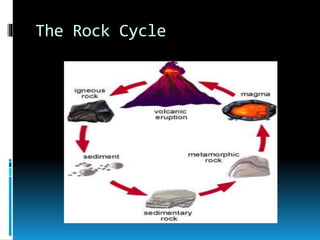 The Rock Cycle
 