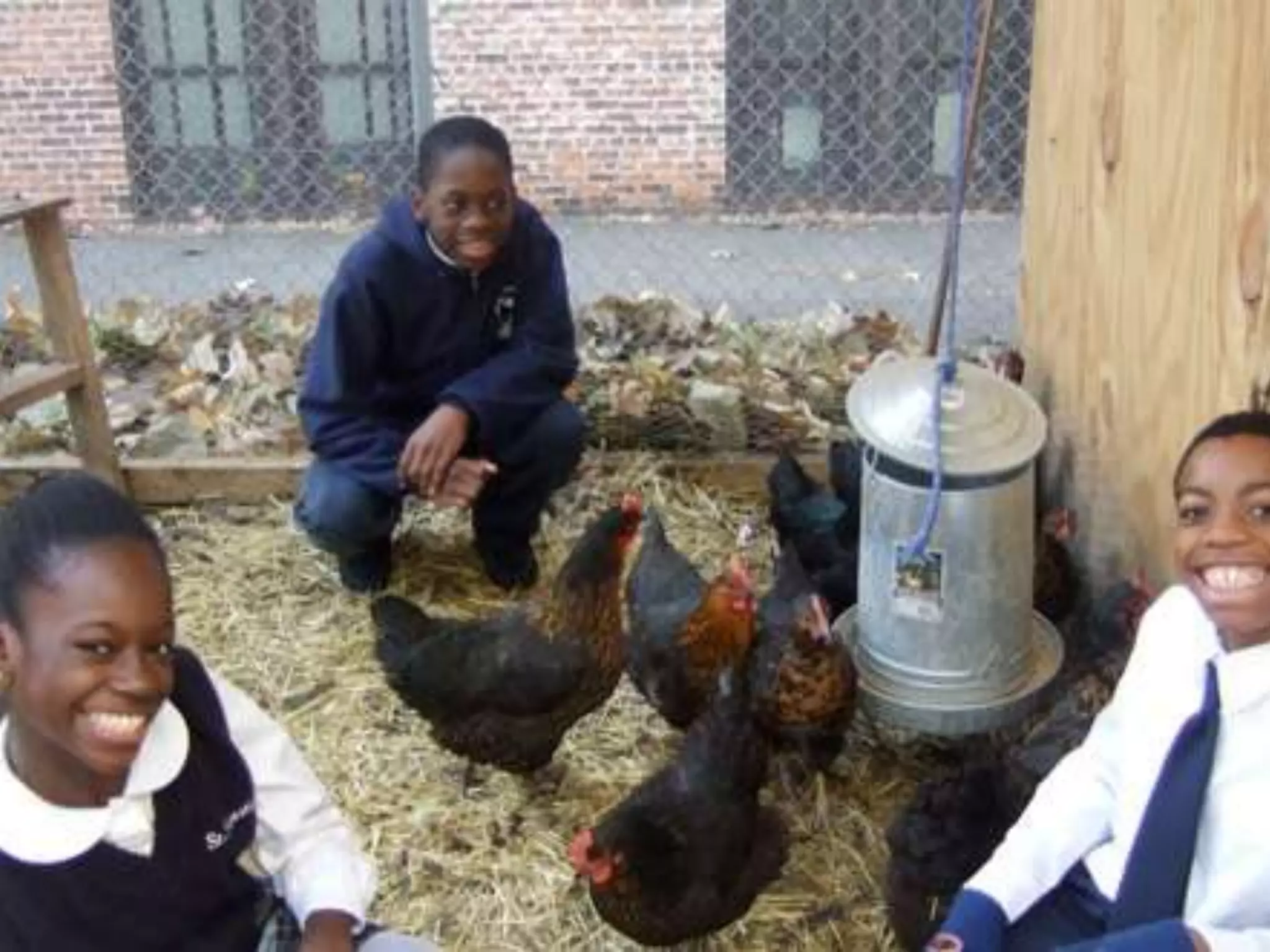 Week 4 - School Lunches