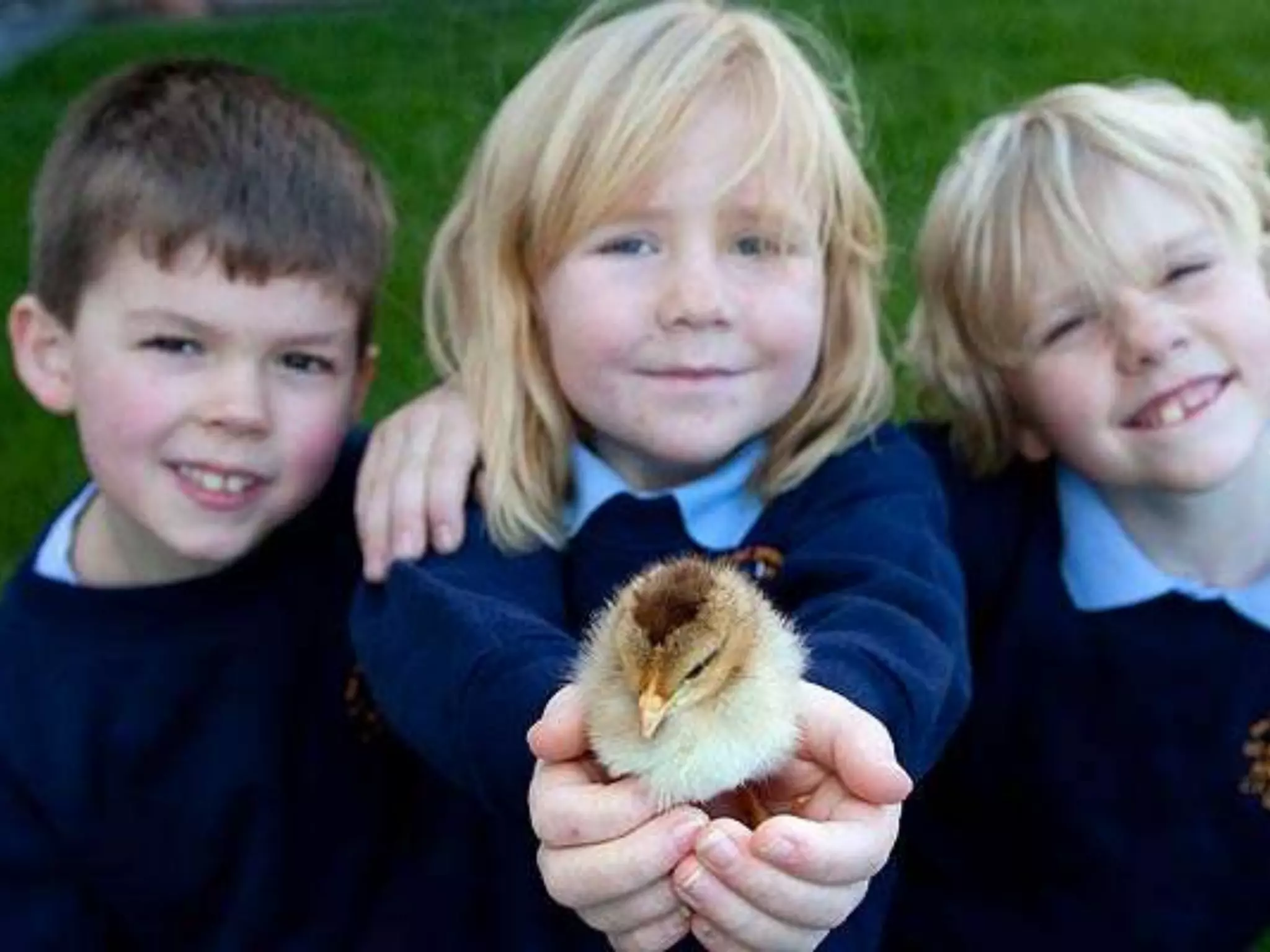 Week 4 - School Lunches