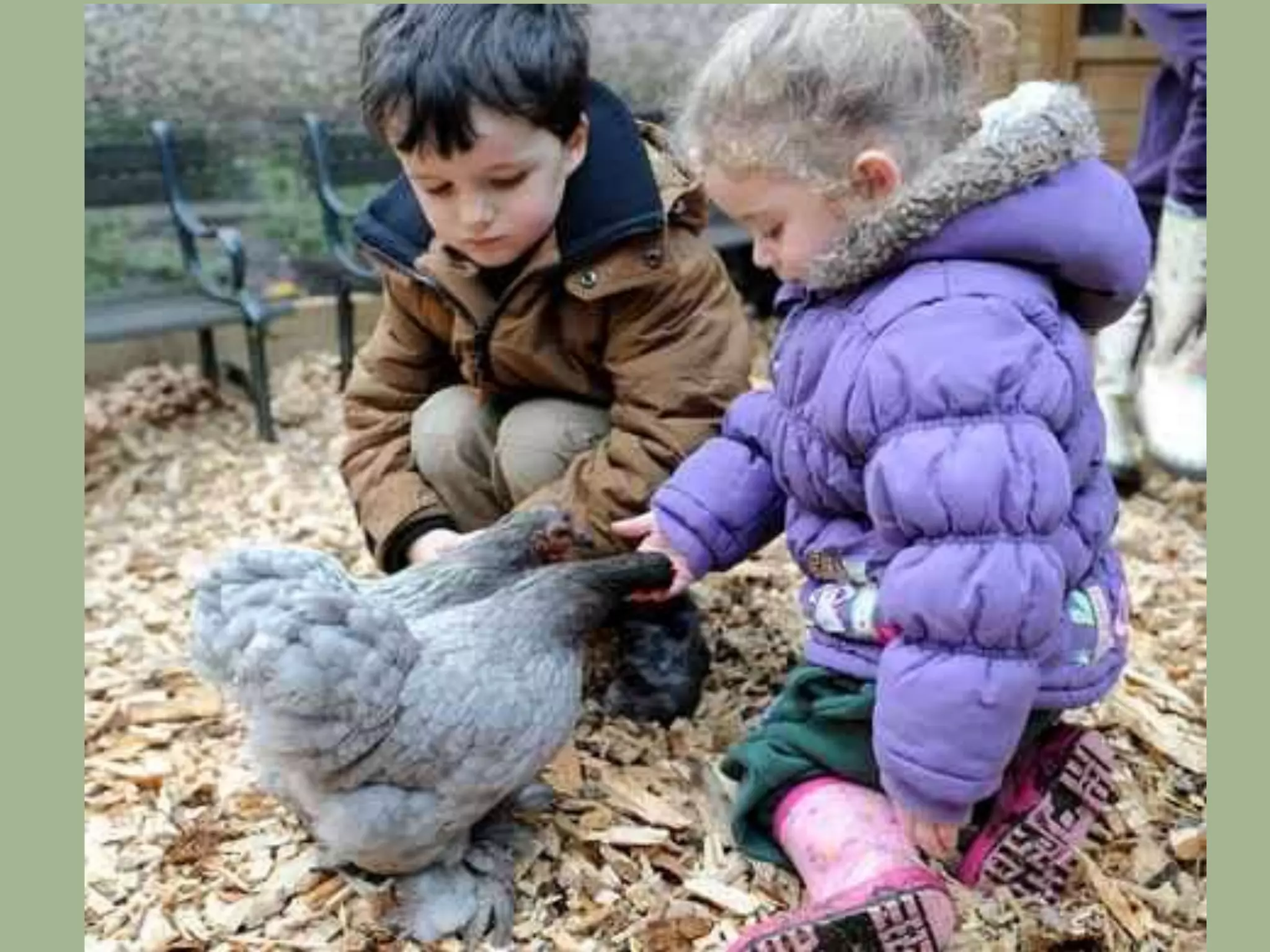 Week 4 - School Lunches