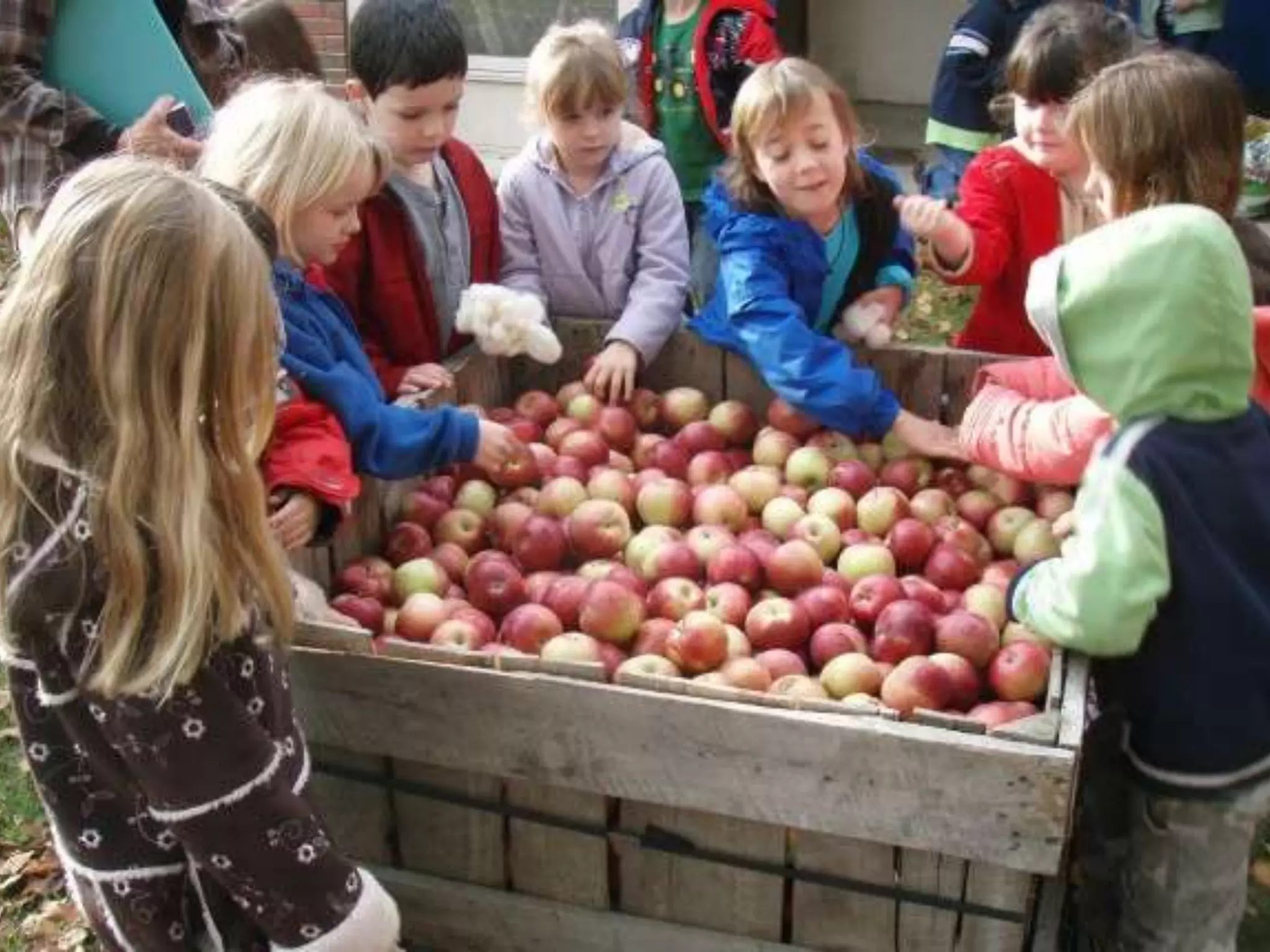 Week 4 - School Lunches