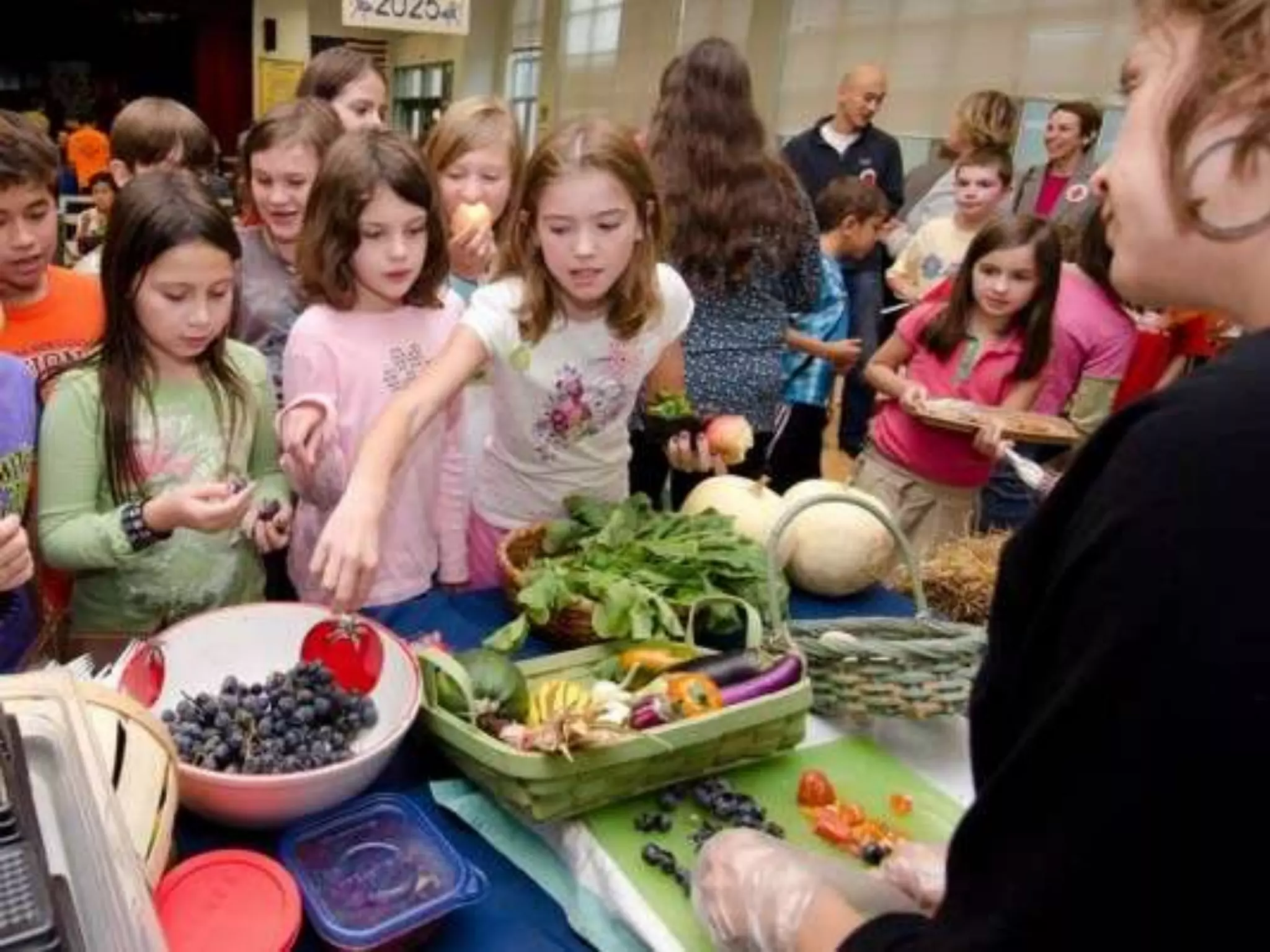 Week 4 - School Lunches