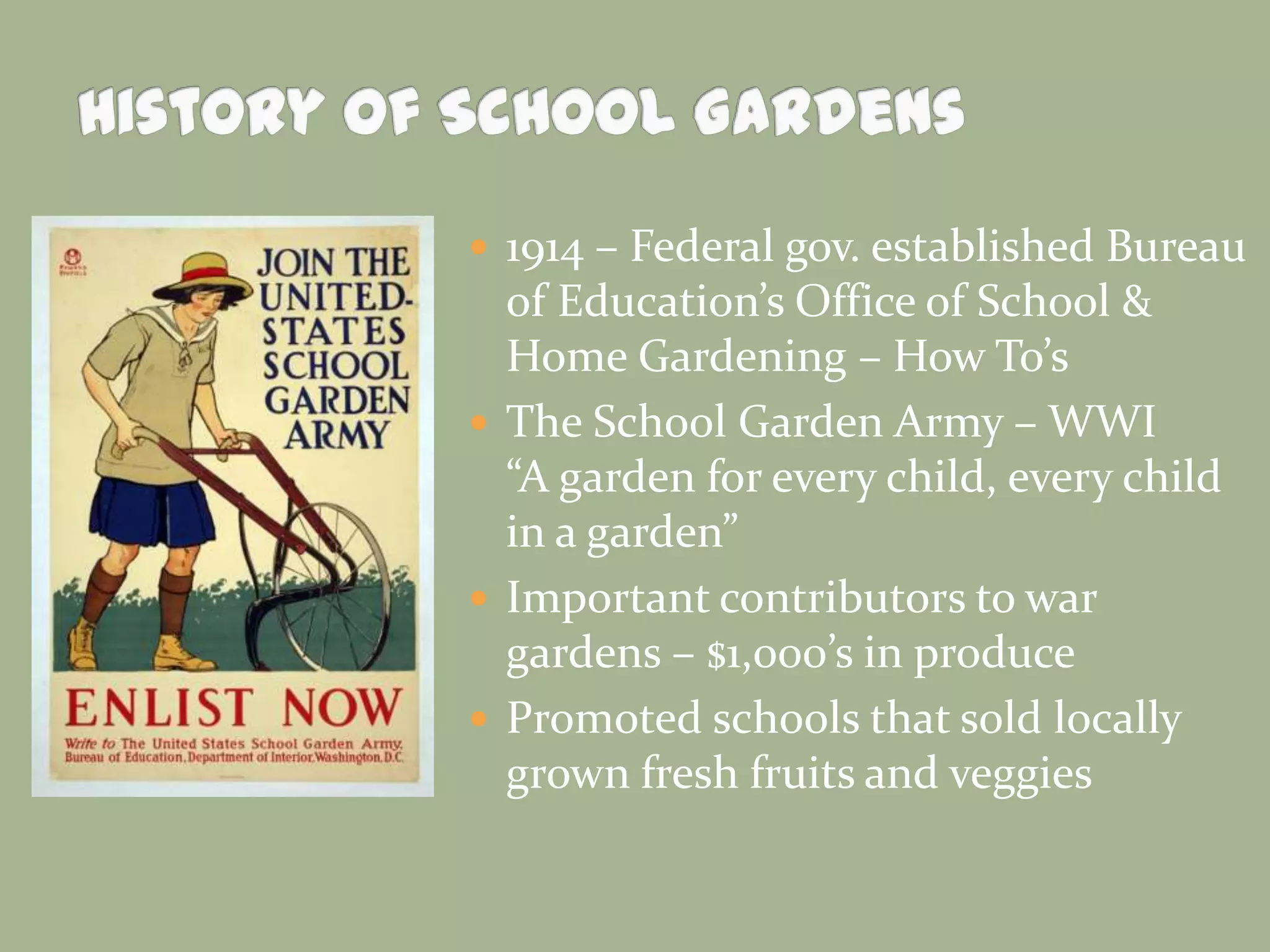  1914 – Federal gov. established Bureau
of Education’s Office of School &
Home Gardening – How To’s
 The School Garden Army – WWI
“A garden for every child, every child
in a garden”
 Important contributors to war
gardens – $1,000’s in produce
 Promoted schools that sold locally
grown fresh fruits and veggies
 
