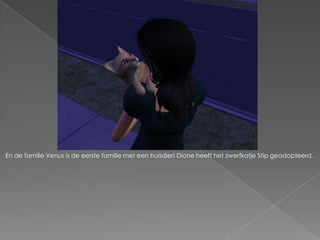 En de familie Venus is de eerste familie met een huisdier! Dione heeft het zwerfkatje Stip geadopteerd.