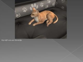 Stip blijft ook een lieverdje.