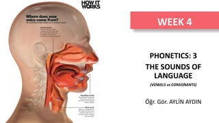 WEEK 4
PHONETICS: 3
THE SOUNDS OF
LANGUAGE
(VOWELS vs CONSONANTS)
Öğr. Gör. AYLİN AYDIN
 