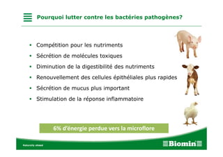 Pourquoi lutter contre les bactéries pathogènes?
• Compétition pour les nutriments
• Sécrétion de molécules toxiques
• Diminution de la digestibilité des nutriments
• Renouvellement des cellules épithéliales plus rapides
• Sécrétion de mucus plus important
• Stimulation de la réponse inflammatoire
6%d’énergie perdue vers la microflore6%d’énergie perdue vers la microflore
 