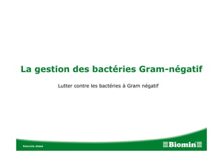 La gestion des bactéries Gram-négatif
Lutter contre les bactéries à Gram négatif
 