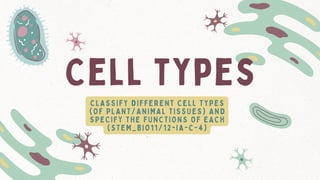 CLASSIFY DIFFERENT CELL TYPES
(OF PLANT/ANIMAL TISSUES) AND
SPECIFY THE FUNCTIONS OF EACH
(STEM_BIO11/12-IA-C-4)
Cell types
 