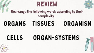 Cell types.pdf