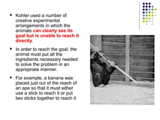    Kohler used a number of
    creative experimental
    arrangements in which the
    animals can clearly see its
    goal but is unable to reach it
    directly.
   In order to reach the goal, the
    animal must put all the
    ingredients necessary needed
    to solve the problem in an
    appropriate manner.
   For example, a banana was
    placed just out of the reach of
    an ape so that it must either
    use a stick to reach it or put
    two sticks together to reach it
 