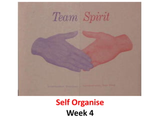 Self Organise
Week 4

 