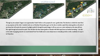 Through my site analysis I began to see opportunities I hadn’t before on the property for more garden beds. The direction in which the water flows
on my property and the video I watched week one on Suburban Permaculture gave me the idea to include a spiral three sisters garden on the side of
my house that will receive the amount of sunlight needed & through the spiral design it will now serve as a water catchment as the rains will now
flow right through and around the spiral. This will allow the three sisters garden to flourish with little input from me besides harvesting. I am also
in the midst of prepping areas for our much desired Fruit Tree Guilds next to some shady trees to eventually provide us with a multitude of crops in
its Polyculture
 