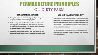 USE AND VALUE NATURE’S GIFT
• OUR NIGERIAN DWARF DAIRY GOAT HERD IS THE CORNERSTONE IN
OUR PURSUIT OF SELF-RELIANCE LIVING. THROUGH BREEDING THEY
PROVIDE US WITH ADDED NUMBERS TO HELP WITH BROWSING THE
BRUSH ON SITE & ALSO THE POTENTIAL TO SELL OR TRADE KIDS TO
OTHER INTERESTED HERDSMAN
• WE HAVE BEEN ABLE TO INCUBATE OUR OWN CROSSBREED (NEW
HAMPSHIRE RED/ LEGHORN) TO MAKE A CHICKEN THAT IS UNIQUE
TO OUR HOMESTEAD.
Get a yield (or harvest)
 Our vegetable gardens are grown in varying ways all year through our
Aquaponics, raised beds and seasonal veggie patches
 Our Goat herd provides us milk to drink as well as the ability to make
many by-products like cheese & soaps. Their Manure’s & old bedding
are worked back into our compost & soil providing needed nutrients for
our vegetable gardens to grow in abundance
 Our pastured poultry provides us eggs & meat. Their bedding has also
been enriched in their manure’s which is returned to our compost & soil
PERMACULTURE PRINCIPLES
OL’ DIRTY FARM
 