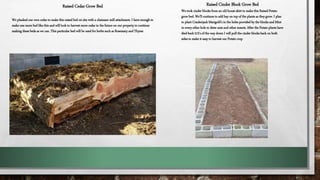 Raised Cedar Grow Bed
We planked our own cedar to make this raised bed on site with a chainsaw mill attachment. I have enough to
make one more bed like this and will look to harvest more cedar in the future on our property to continue
making these beds as we can. This particular bed will be used for herbs such as Rosemary and Thyme
Raised Cinder Block Grow Bed
We took cinder blocks from an old house skirt to make this Raised Potato
grow bed. We’ll continue to add hay on top of the plants as they grow. I plan
to plant Crackerjack Marigold’s in the holes provided by the blocks and Mint
in every other hole to deter ants and other insects. After the Potato plants have
died back 2/3’s of the way down I will pull the cinder blocks back on both
sides to make it easy to harvest our Potato crop
 