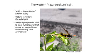 The western ‘nature/culture’ split
• ‘wild’ vs ‘domesticated’
(Cronon 1996)
• ‘nature’ vs ‘culture’
(Descola 2009)
• Western perspectives tend
to place humans outside of
nature as opposed to co-
constituents of their
environment
Photo credit: Zoe Todd
Copyright Prof Zoe Todd, 2021
 