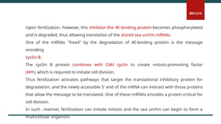 Inhibitory Message week 4,Lec 01 & 02_Fertilization dev biology.pptx
