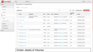 Cinder- details of Volumes
 
