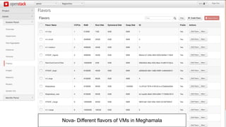Nova- Different flavors of VMs in Meghamala
 