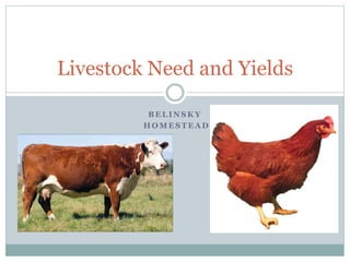 B E L I N S K Y
H O M E S T E A D
Livestock Need and Yields
 