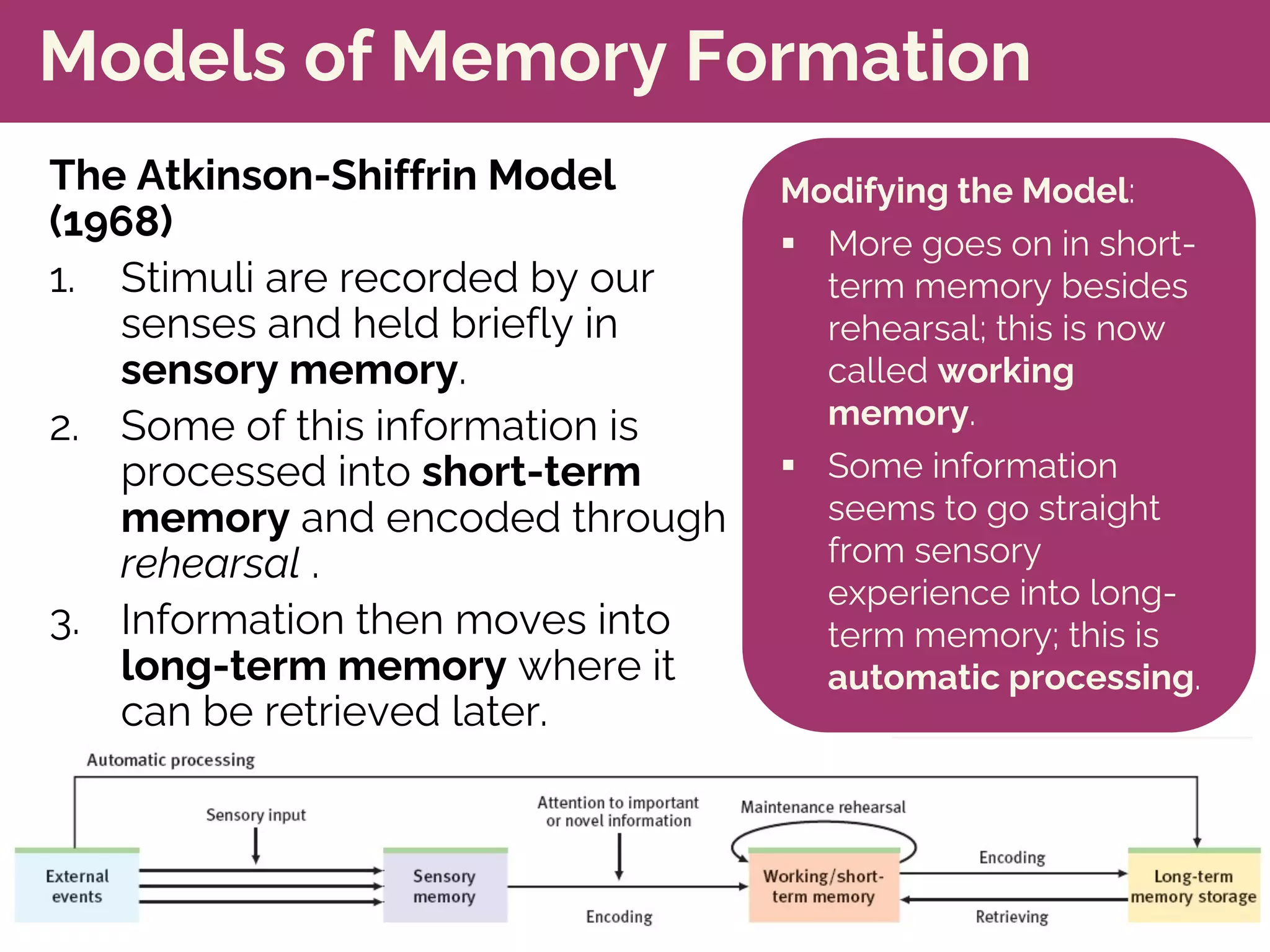 Models of Memory Formation
The Atkinson-Shiffrin Model
(1968)
1. Stimuli are recorded by our
senses and held briefly in
sensory memory.
2. Some of this information is
processed into short-term
memory and encoded through
rehearsal .
3. Information then moves into
long-term memory where it
can be retrieved later.
Modifying the Model:
§ More goes on in short-
term memory besides
rehearsal; this is now
called working
memory.
§ Some information
seems to go straight
from sensory
experience into long-
term memory; this is
automatic processing.
 