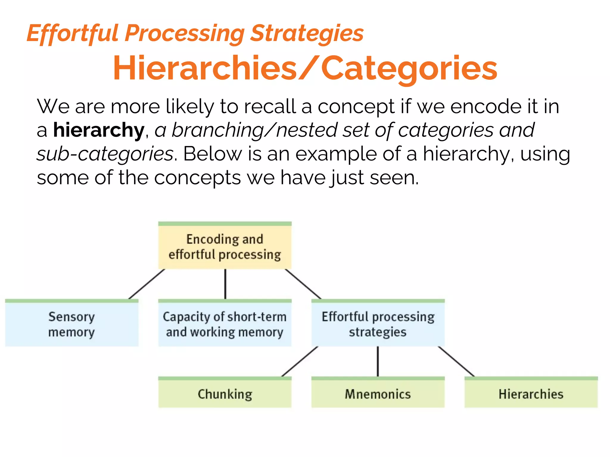Hierarchies/Categories
We are more likely to recall a concept if we encode it in
a hierarchy, a branching/nested set of categories and
sub-categories. Below is an example of a hierarchy, using
some of the concepts we have just seen.
Effortful Processing Strategies
 