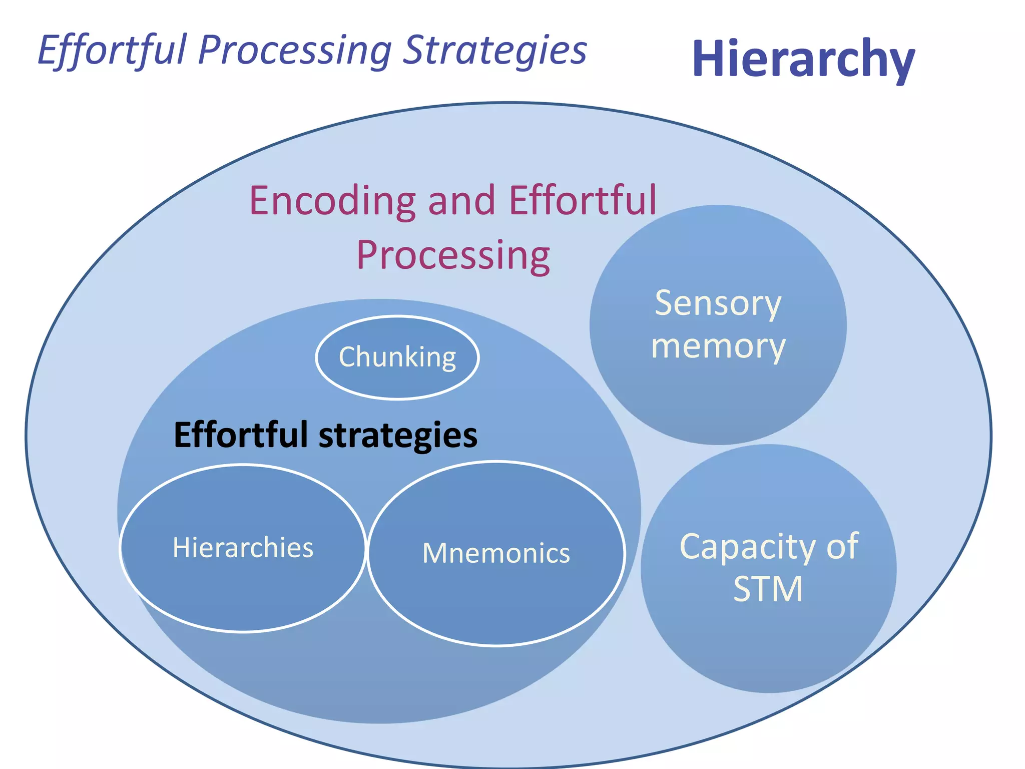 Hierarchy
Sensory
memory
Capacity of
STM
Effortful strategies
Effortful Processing Strategies
Encoding and Effortful
Processing
Chunking
Mnemonics
Hierarchies
 