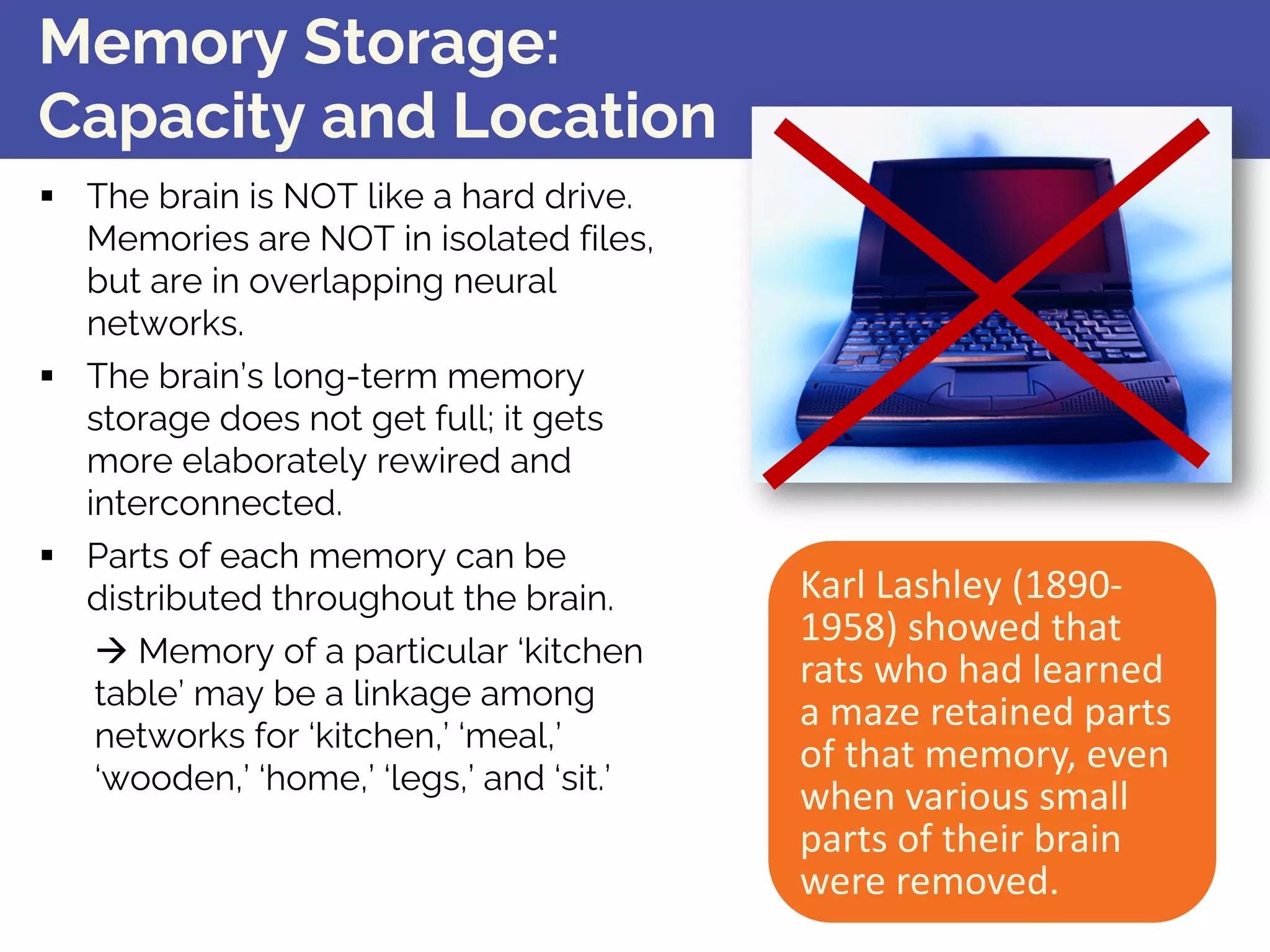 Memory Storage:
Capacity and Location
§ The brain is NOT like a hard drive.
Memories are NOT in isolated files,
but are in overlapping neural
networks.
§ The brain’s long-term memory
storage does not get full; it gets
more elaborately rewired and
interconnected.
§ Parts of each memory can be
distributed throughout the brain.
à Memory of a particular ‘kitchen
table’ may be a linkage among
networks for ‘kitchen,’ ‘meal,’
‘wooden,’ ‘home,’ ‘legs,’ and ‘sit.’
Karl Lashley (1890-
1958) showed that
rats who had learned
a maze retained parts
of that memory, even
when various small
parts of their brain
were removed.
 