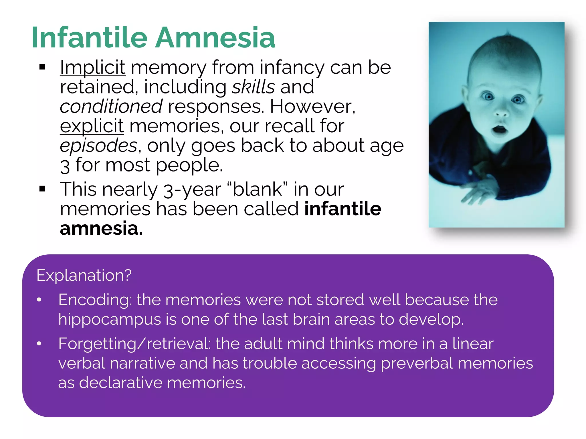 Infantile Amnesia
§ Implicit memory from infancy can be
retained, including skills and
conditioned responses. However,
explicit memories, our recall for
episodes, only goes back to about age
3 for most people.
§ This nearly 3-year “blank” in our
memories has been called infantile
amnesia.
Explanation?
• Encoding: the memories were not stored well because the
hippocampus is one of the last brain areas to develop.
• Forgetting/retrieval: the adult mind thinks more in a linear
verbal narrative and has trouble accessing preverbal memories
as declarative memories.
 