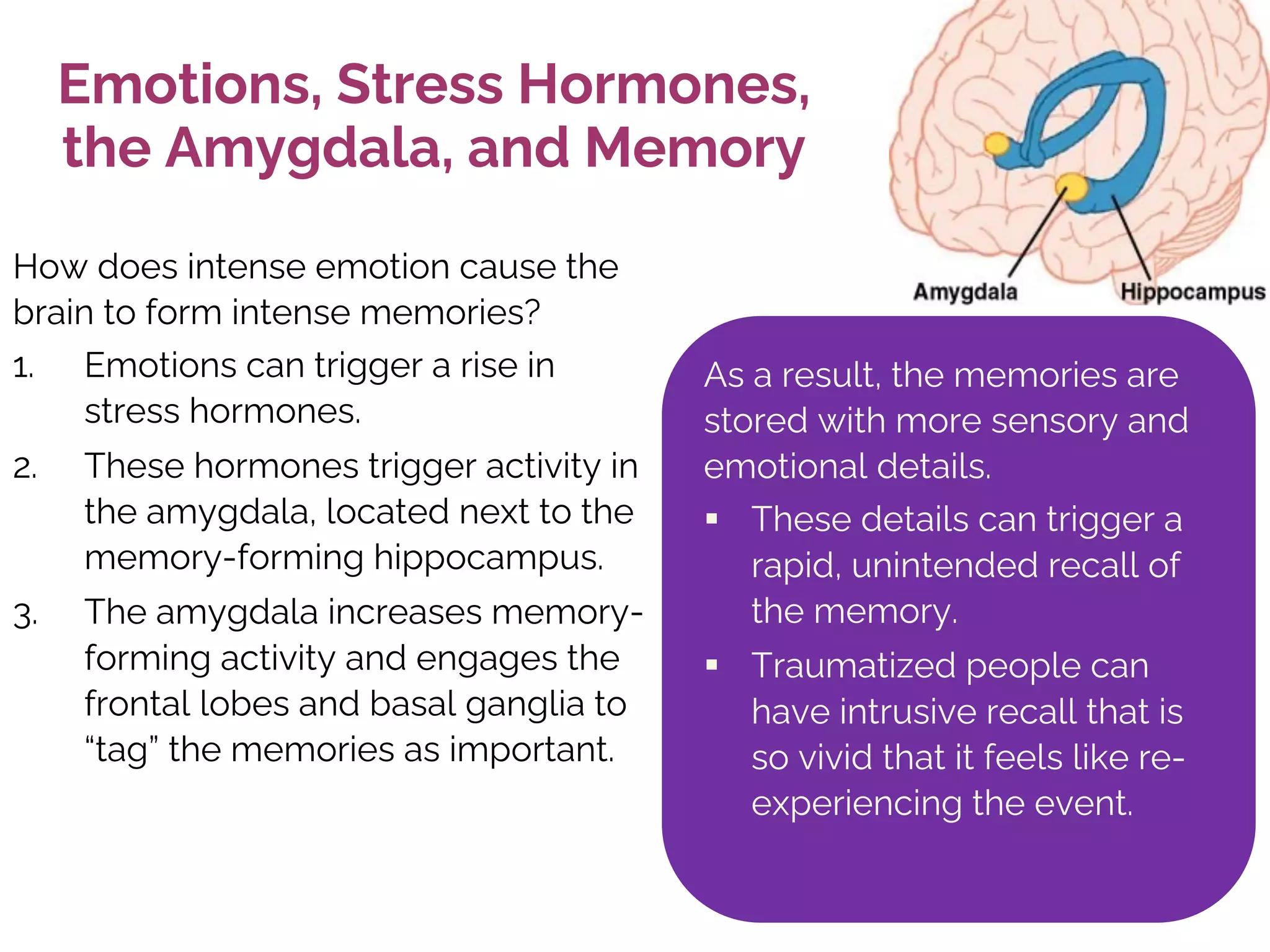 Emotions, Stress Hormones,
the Amygdala, and Memory
How does intense emotion cause the
brain to form intense memories?
1. Emotions can trigger a rise in
stress hormones.
2. These hormones trigger activity in
the amygdala, located next to the
memory-forming hippocampus.
3. The amygdala increases memory-
forming activity and engages the
frontal lobes and basal ganglia to
“tag” the memories as important.
As a result, the memories are
stored with more sensory and
emotional details.
§ These details can trigger a
rapid, unintended recall of
the memory.
§ Traumatized people can
have intrusive recall that is
so vivid that it feels like re-
experiencing the event.
 