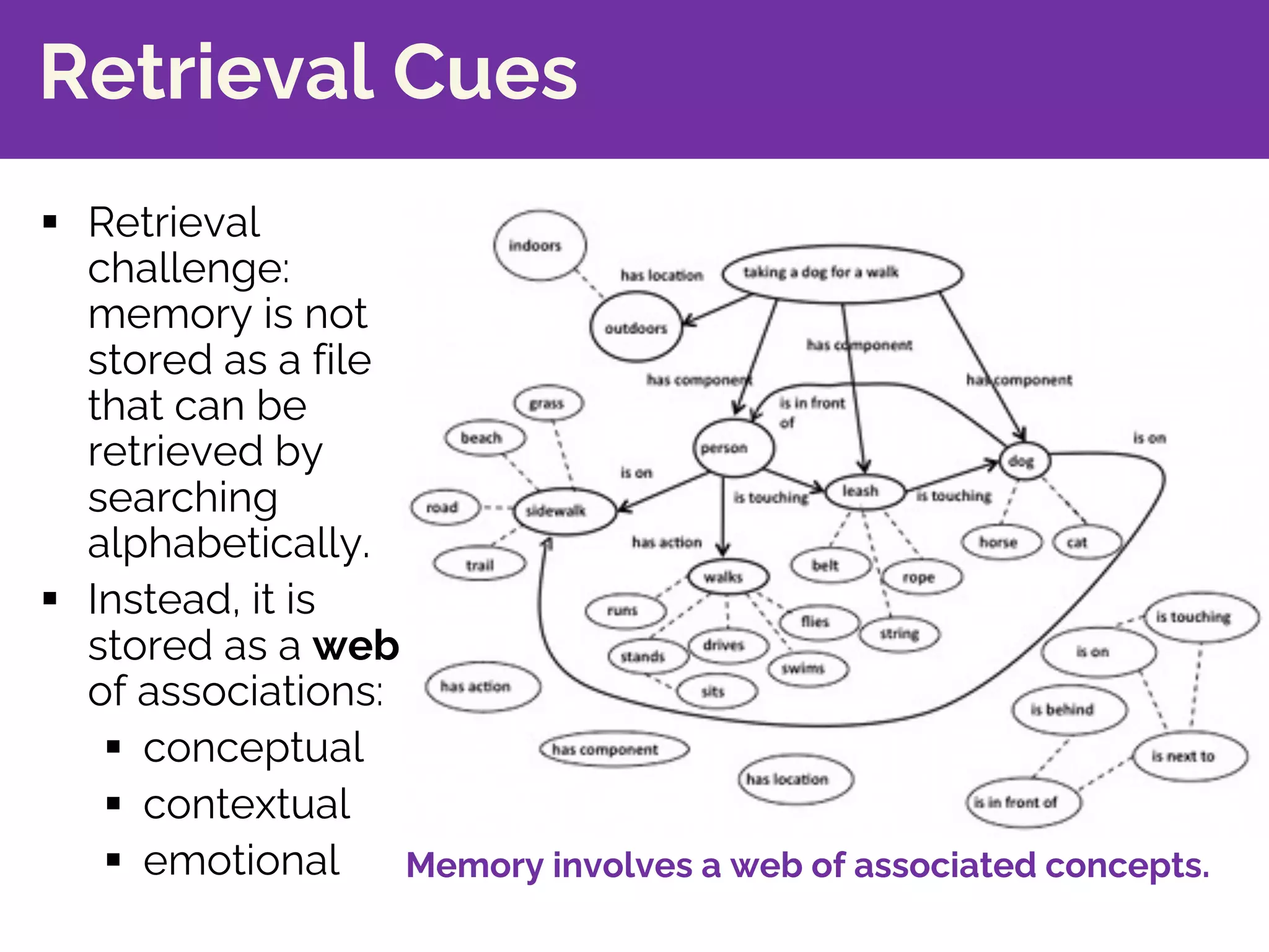 Retrieval Cues
§ Retrieval
challenge:
memory is not
stored as a file
that can be
retrieved by
searching
alphabetically.
§ Instead, it is
stored as a web
of associations:
§ conceptual
§ contextual
§ emotional Memory involves a web of associated concepts.
 