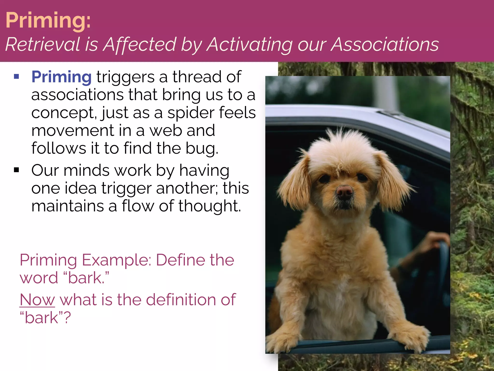 Priming:
Retrieval is Affected by Activating our Associations
§ Priming triggers a thread of
associations that bring us to a
concept, just as a spider feels
movement in a web and
follows it to find the bug.
§ Our minds work by having
one idea trigger another; this
maintains a flow of thought.
Priming Example: Define the
word “bark.”
Now what is the definition of
“bark”?
 