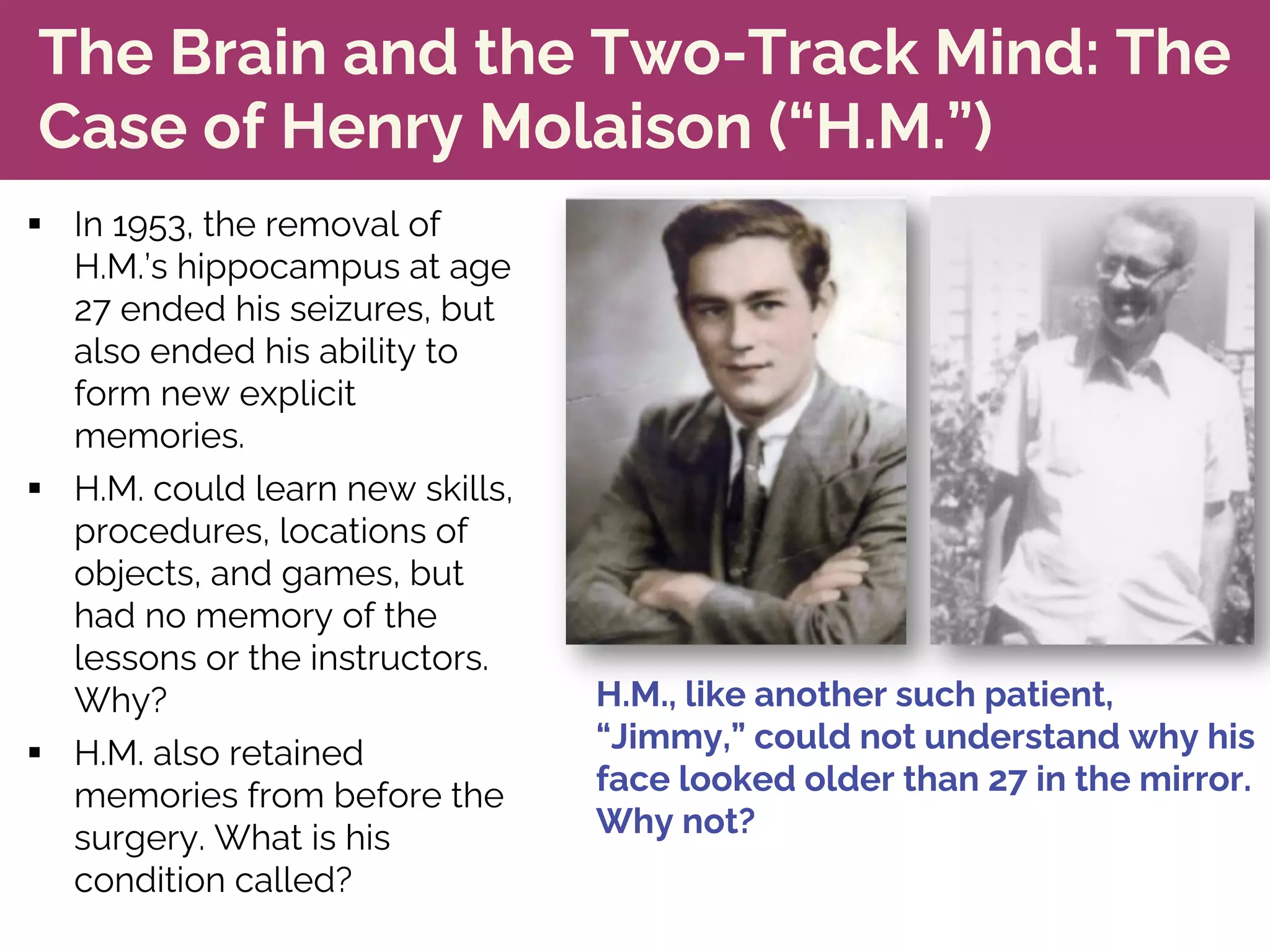 The Brain and the Two-Track Mind: The
Case of Henry Molaison (“H.M.”)
§ In 1953, the removal of
H.M.’s hippocampus at age
27 ended his seizures, but
also ended his ability to
form new explicit
memories.
§ H.M. could learn new skills,
procedures, locations of
objects, and games, but
had no memory of the
lessons or the instructors.
Why?
§ H.M. also retained
memories from before the
surgery. What is his
condition called?
H.M., like another such patient,
“Jimmy,” could not understand why his
face looked older than 27 in the mirror.
Why not?
 