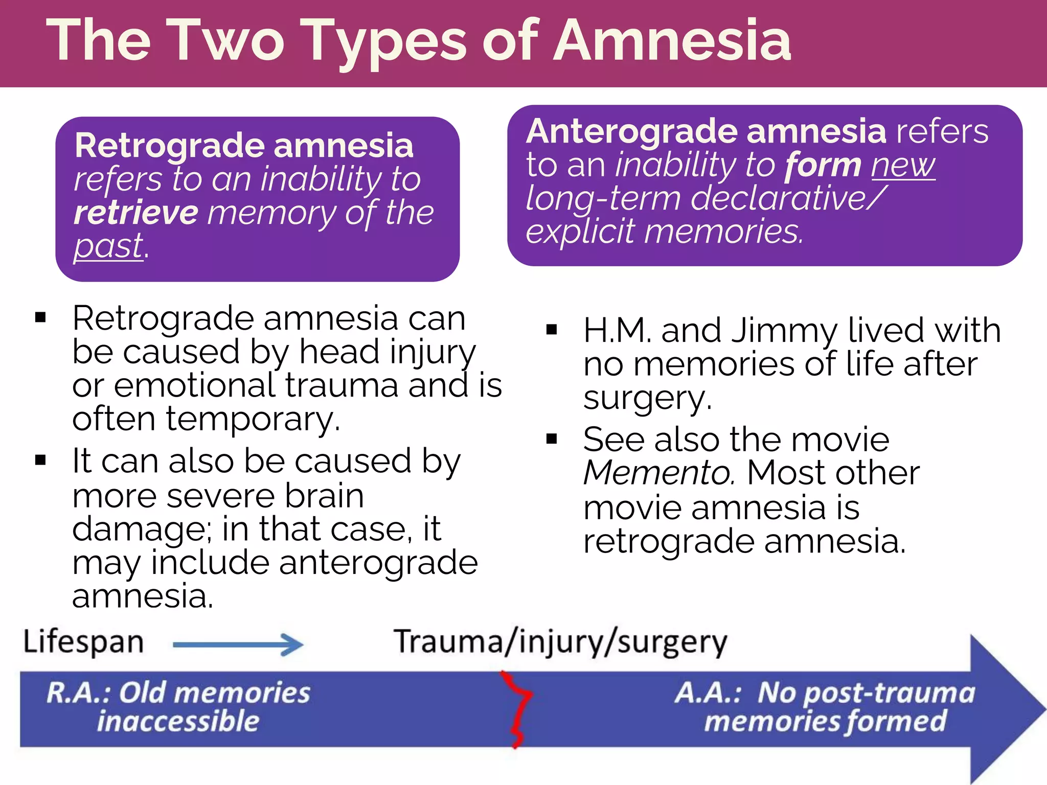 The Two Types of Amnesia
§ Retrograde amnesia can
be caused by head injury
or emotional trauma and is
often temporary.
§ It can also be caused by
more severe brain
damage; in that case, it
may include anterograde
amnesia.
§ H.M. and Jimmy lived with
no memories of life after
surgery.
§ See also the movie
Memento. Most other
movie amnesia is
retrograde amnesia.
Retrograde amnesia
refers to an inability to
retrieve memory of the
past.
Anterograde amnesia refers
to an inability to form new
long-term declarative/
explicit memories.
 