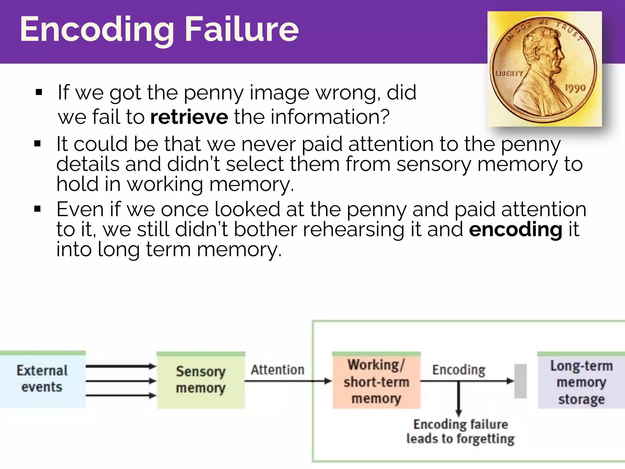 § If we got the penny image wrong, did
we fail to retrieve the information?
Encoding Failure
§ It could be that we never paid attention to the penny
details and didn’t select them from sensory memory to
hold in working memory.
§ Even if we once looked at the penny and paid attention
to it, we still didn’t bother rehearsing it and encoding it
into long term memory.
 