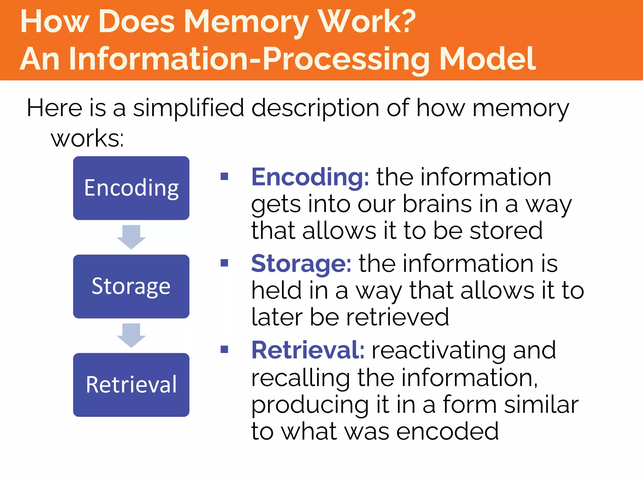 How Does Memory Work?
An Information-Processing Model
Here is a simplified description of how memory
works:
§ Encoding: the information
gets into our brains in a way
that allows it to be stored
§ Storage: the information is
held in a way that allows it to
later be retrieved
§ Retrieval: reactivating and
recalling the information,
producing it in a form similar
to what was encoded
Encoding
Storage
Retrieval
 