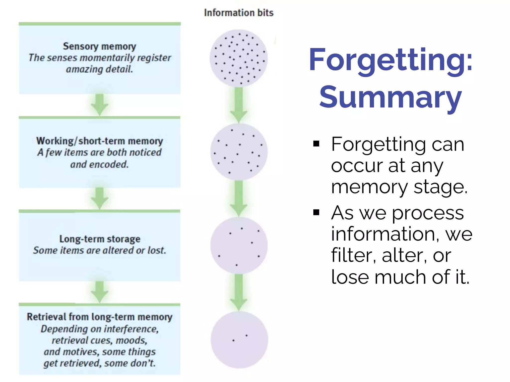 Forgetting:
Summary
§ Forgetting can
occur at any
memory stage.
§ As we process
information, we
filter, alter, or
lose much of it.
 