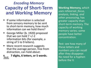 Encoding Memory
Capacity of Short-Term
and Working Memory
§ If some information is selected
from sensory memory to be sent...