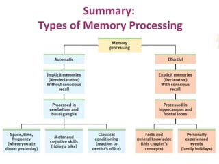 Summary:
Types of Memory Processing
 