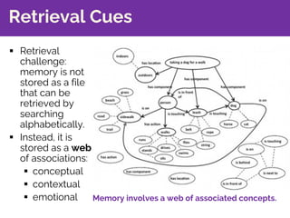 Retrieval Cues
§ Retrieval
challenge:
memory is not
stored as a file
that can be
retrieved by
searching
alphabetically.
§ ...