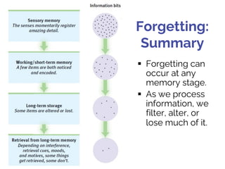 Forgetting:
Summary
§ Forgetting can
occur at any
memory stage.
§ As we process
information, we
filter, alter, or
lose muc...