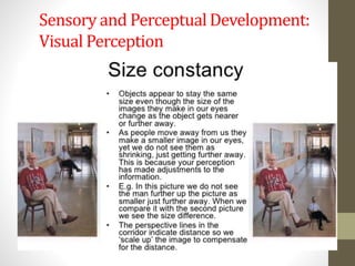 Week 4 Motor, Sensory, & Perceptual Development | PPTX