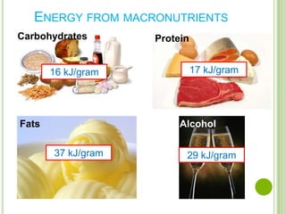 ENERGY FROM MACRONUTRIENTS
Carbohydrates       Protein


       16 kJ/gram             17 kJ/gram




Fats                     Alcohol

       37 kJ/gram         29 kJ/gram
 